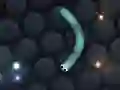 Spil Slither.io online Spil Slither.io online