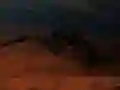 Spil Insekter Alien Shooter online Spil Insekter Alien Shooter online