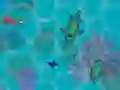 Spil Sharkz.io online