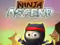 Spil Ninja Stigning online Spil Ninja Stigning online