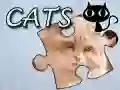 Spil Puzzle: Katte online