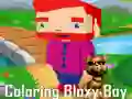 Spil Farvelægning af Bloxy Drengen online Spil Farvelægning af Bloxy Drengen online