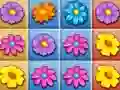 Spil Blomstrende Have Kollision online Spil Blomstrende Have Kollision online