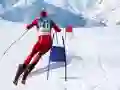 Spil Slalom Skisimulator online