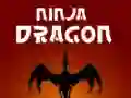 Spil Ninja Drage online Spil Ninja Drage online