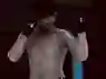 Spil MFS: MMA Fighter online Spil MFS: MMA Fighter online