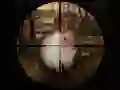 Spil Klassisk Kanin Sniper Jag 2019 online Spil Klassisk Kanin Sniper Jag 2019 online