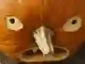 Spil 5 i 1 Billedpuzzle: Halloween online Spil 5 i 1 Billedpuzzle: Halloween online