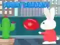 Spil Bunny Ballon online Spil Bunny Ballon online