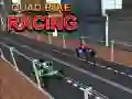 Spil Quad Bike Racing online