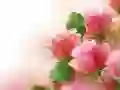 Spil Lyserøde Rosen online Spil Lyserøde Rosen online