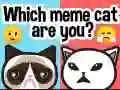 Spil Hvilken meme kat er du? online Spil Hvilken meme kat er du? online