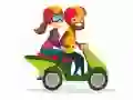Spil Motorcykler Find Forskellene online Spil Motorcykler Find Forskellene online