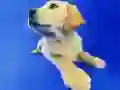 Spil Sjove Katte og Hunde Puslespil online Spil Sjove Katte og Hunde Puslespil online