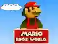 Spil Mario Bros Verden online