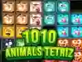Spil 1010 Dyr Tetris online