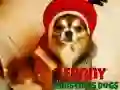 Spil Sjove Julehunde online