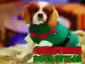 Spil Julehundestile online Spil Julehundestile online