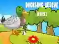 Spil Andekylling Redningsserie 2 online Spil Andekylling Redningsserie 2 online