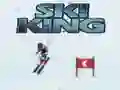 Spil Ski Kong online