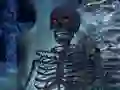 Spil Skeletons Verden - Skjulte Stjerner online Spil Skeletons Verden - Skjulte Stjerner online