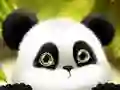 Spil Panda Glidning online Spil Panda Glidning online
