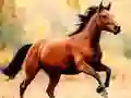 Spil Heste slide online