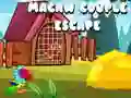 Spil Macaw Parens Flucht online Spil Macaw Parens Flucht online