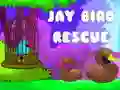 Spil Redning af Jay Fuglen online