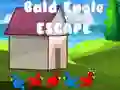 Spil Bald Eagle Flugt online Spil Bald Eagle Flugt online