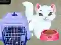 Spil Baby Taylor: Kæledyrspleje online Spil Baby Taylor: Kæledyrspleje online