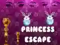 Spil Prinsesseeksplosion online Spil Prinsesseeksplosion online