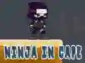 Spil Ninja i Kappe online Spil Ninja i Kappe online