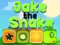 Spil Jake Slangen online