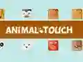 Spil Dyr Toush online Spil Dyr Toush online
