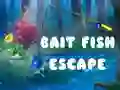Spil Bait Fish Escape online Spil Bait Fish Escape online