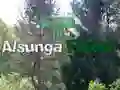 Spil Tilbage til Alsunga Skov online Spil Tilbage til Alsunga Skov online