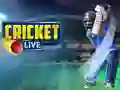 Spil Cricket Live online Spil Cricket Live online