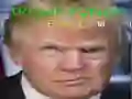 Spil Trump Sjovt Ansigt online Spil Trump Sjovt Ansigt online