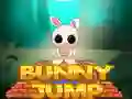 Spil Kaninhop online Spil Kaninhop online
