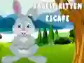 Spil Kanins og Killingens Flugt online