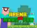 Spil Arena: Noob vs Pro online