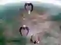 Spil Scape Shotter online