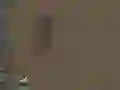 Spil Overlevelse online Spil Overlevelse online
