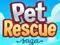 Spil Dyre Redning Saga online