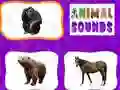 Spil Dyrelyde online Spil Dyrelyde online