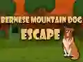 Spil Bernese Mountain Dog Flugt online Spil Bernese Mountain Dog Flugt online