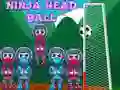 Spil Ninja Hoved Bold online