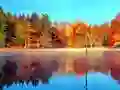 Spil Fiskesimulator Online online