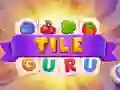 Spil Flise Guru online Spil Flise Guru online
